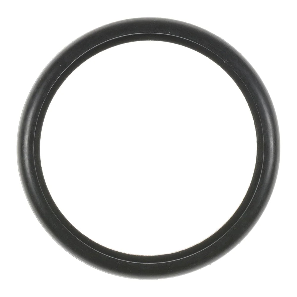 THERMOSTAT GASKET