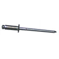 3/16 X 1/4 RIVETS (100 PK)