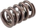 Valve Spring