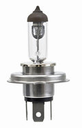 BULB H4 12V 100/55W P43T T4.625 (2)