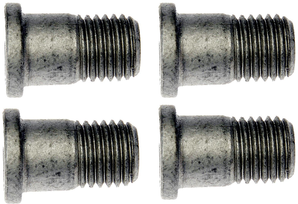BRAKE ROTOR SCREW