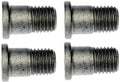 BRAKE ROTOR SCREW