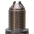 CHAMPION PLATINUM