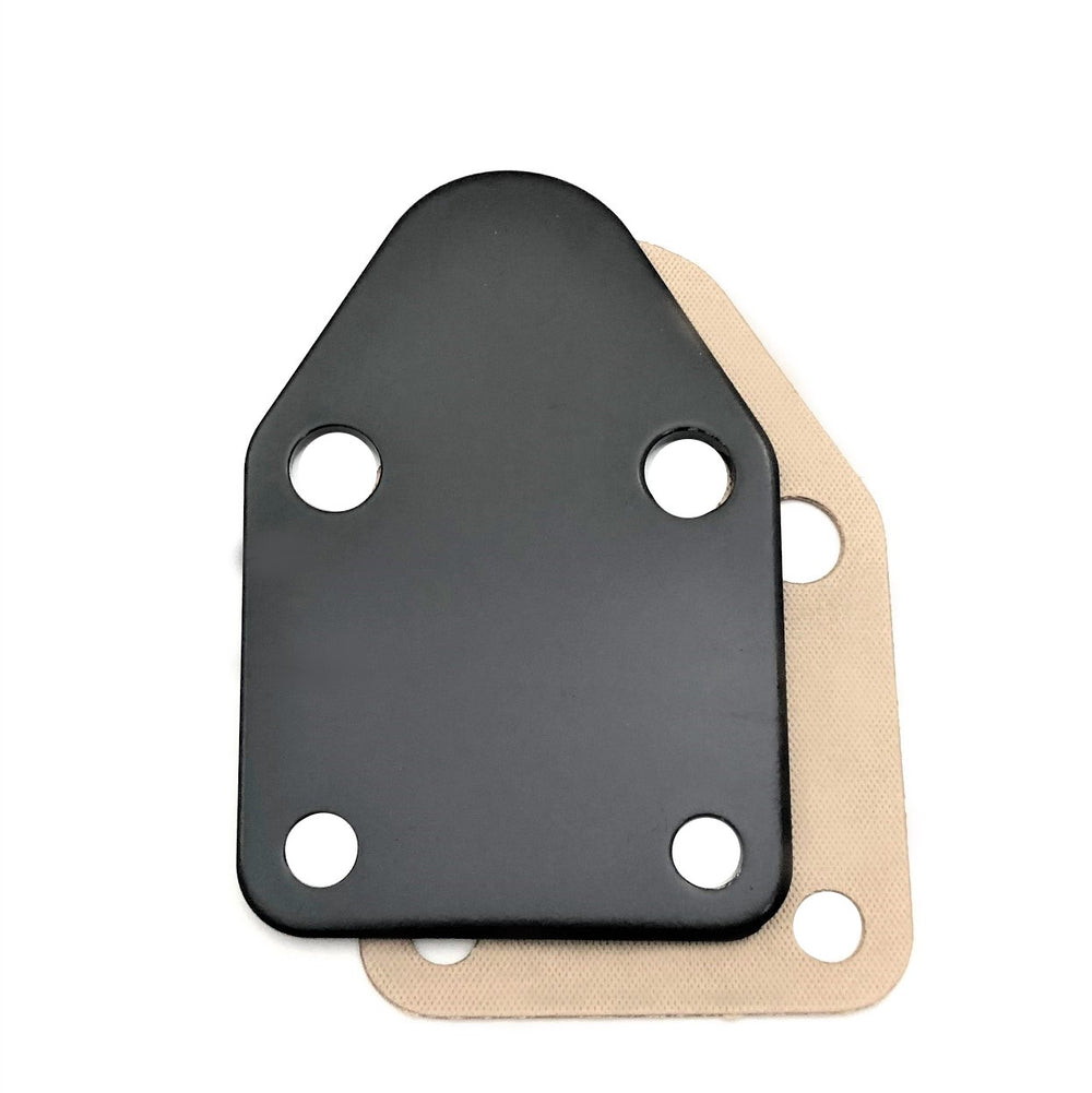 S/B Chevy Fuel Pump Bloc k Off Plate w/Gasket