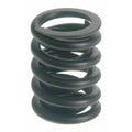 VALVE SPRING