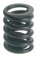 VALVE SPRING