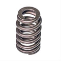 Valve Spring
