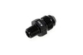 AN to NPT Adapter