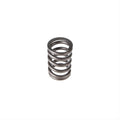 Valve Spring