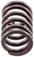 Valve Spring