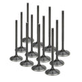 Supertech Lash Cap 5.5mm Dia 2.5mm Deep 1.22mm Thick