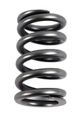 Valve Spring