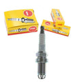 NGK Standard Spark Plug Box of 4 (BKR5EK)