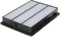 RIGID PANEL AIR FILTER 2PK