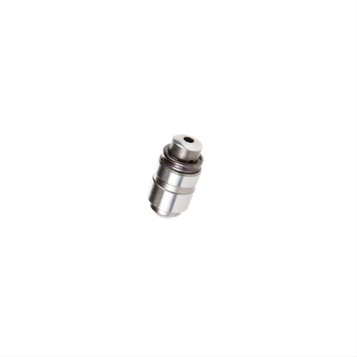 LIFTRRS ENG VALVE BULK 96