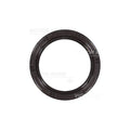 Engine Crankshaft Seal - 81-53582-00