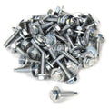 Body Bolt 1-1/8in 10pk Silver