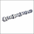 1 PTFE Seal .530" Guide, 11/32" Valve