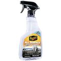 16OZ ALL SURFACE INTERIOR CLEANER