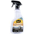 16OZ ALL SURFACE INTERIOR CLEANER