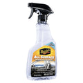 16OZ ALL SURFACE INTERIOR CLEANER