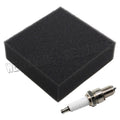 AIR CLEANER- 2400W & 2600