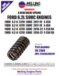 Valve Spring