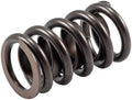 Valve Spring
