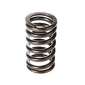 Valve Spring