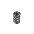 Valve Spring