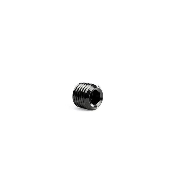 NPT Allen Plug