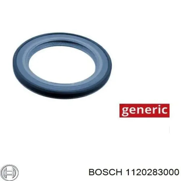 RADIAL SEAL