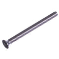 REPLACEMENT SCREW FOR NAUTILUS PANE