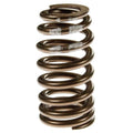 Valve Spring