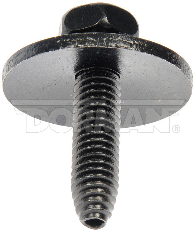 BODY BOLT