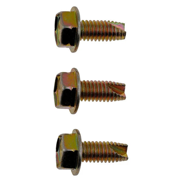 WHEEL CAP SCREW