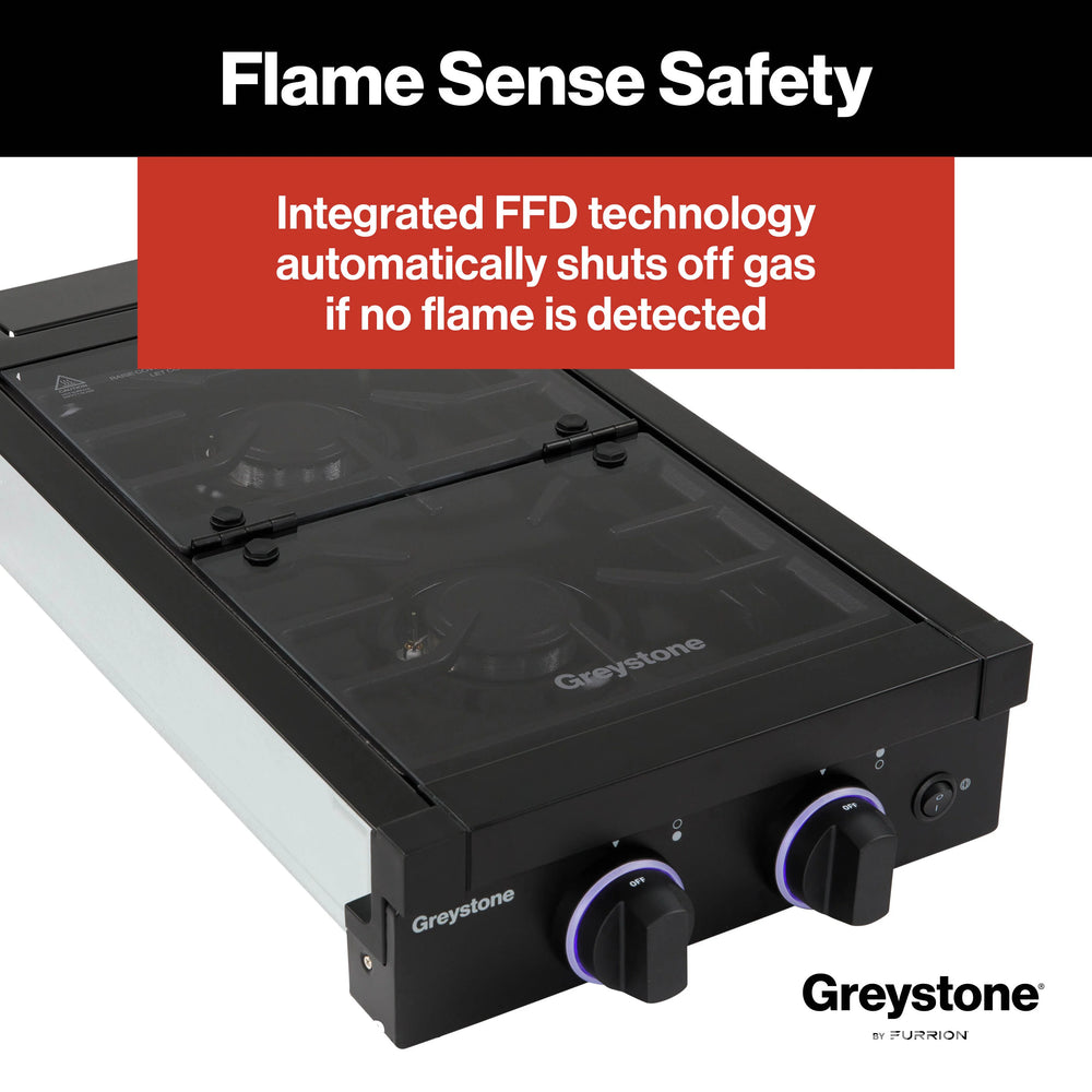 ELEC SPARK IGNITOR MODULE 2-BURNER