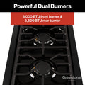 ELEC SPARK IGNITOR MODULE 2-BURNER
