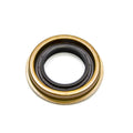 Pinion Seal Ford 9in