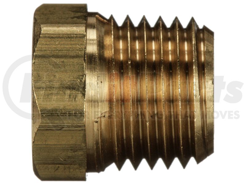 BRASS PIPE ADAPTER