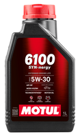 6100 SYN-NERGY 5W-30 12X1L
