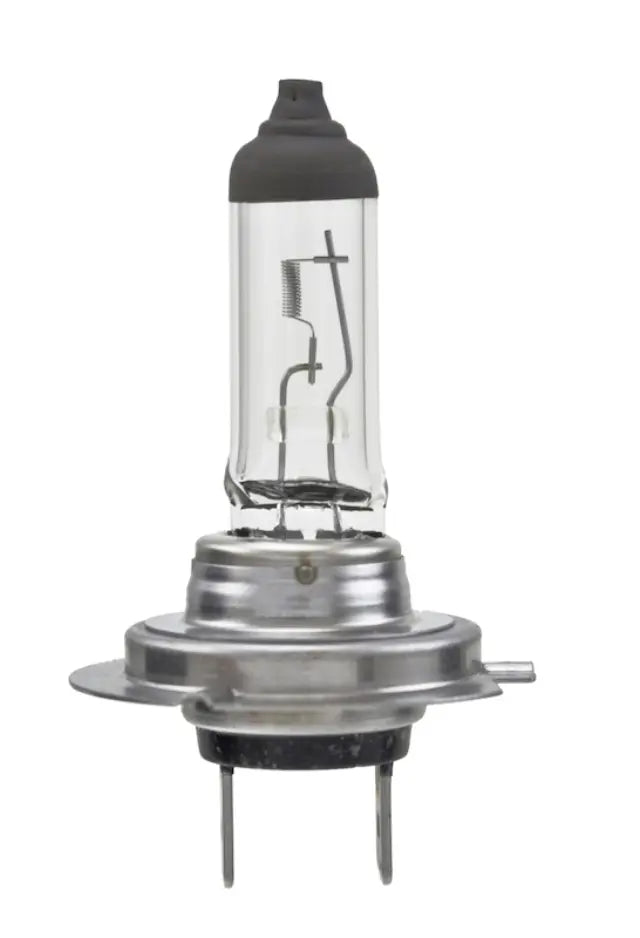 BULB H7 12V 55W PX26D T4.625 (2)
