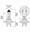 BULB H7 12V 55W PX26D T4.625 (2)