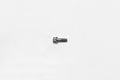 Wilwood Stainless Steel Rotor Bolt - 12pt 1/4-20 X .75 L