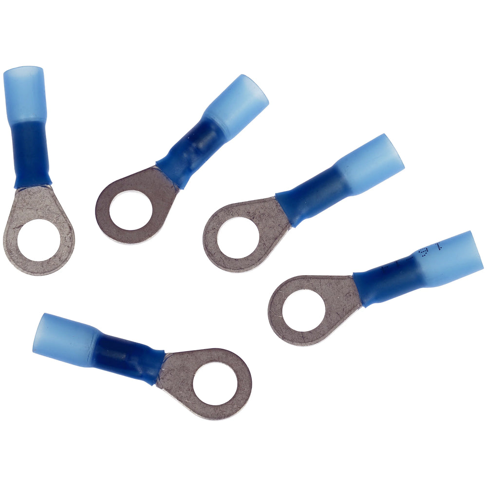 SOLID AND SEAL RING TERMINAL BLUE 5