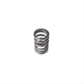 Valve Spring