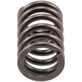 Valve Spring
