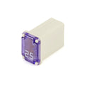 MICRO FEMALE TIME DELAY F