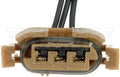 SOCKET FORD STOP/TURN/PK