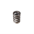 Valve Spring